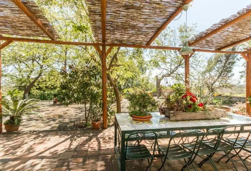 B&b La Casa Di Pippinitto