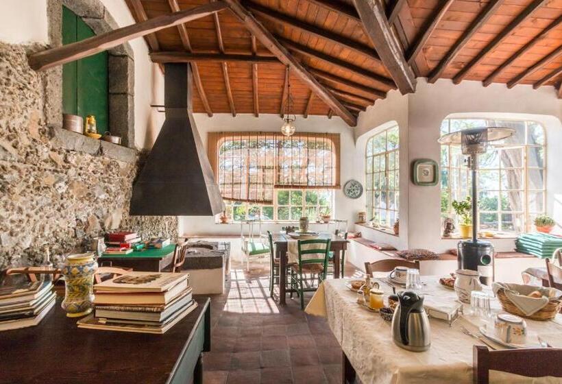 B&b La Casa Di Pippinitto