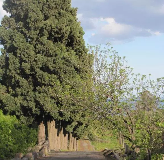 B&b La Casa Di Pippinitto