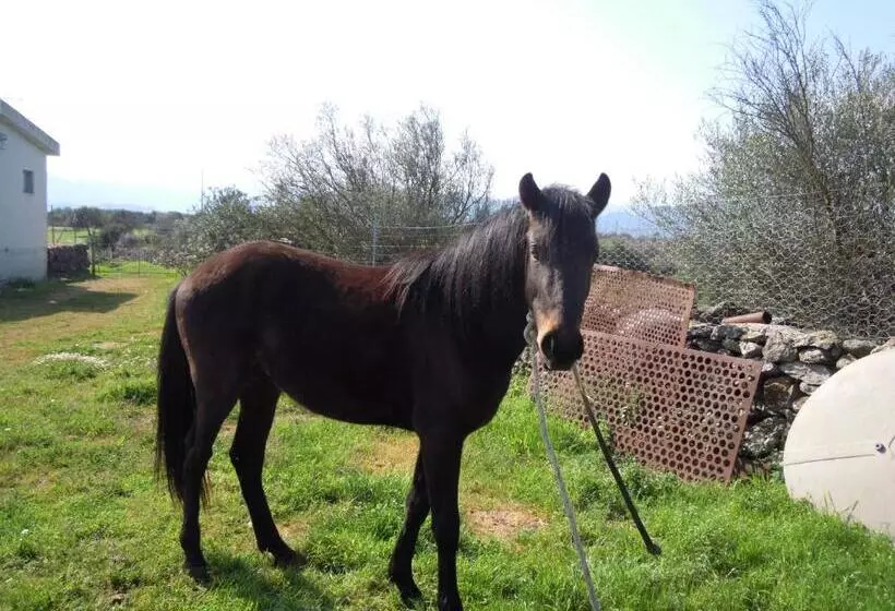 Aamiaismajoitus (B&B) Agriturismo Pira Pinta