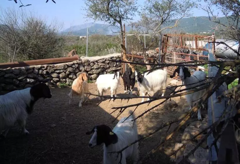 Aamiaismajoitus (B&B) Agriturismo Pira Pinta