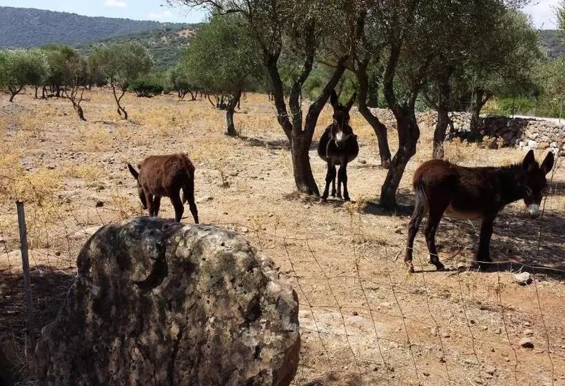 Aamiaismajoitus (B&B) Agriturismo Pira Pinta