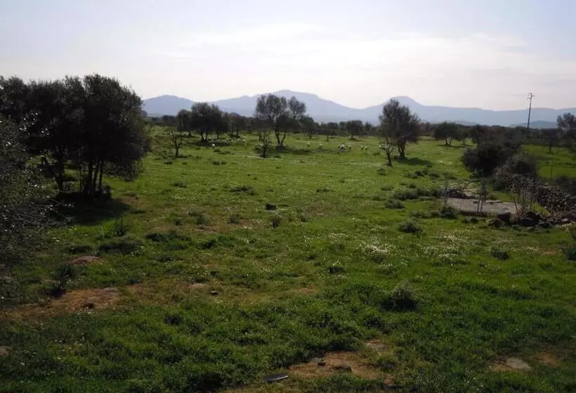 Aamiaismajoitus (B&B) Agriturismo Pira Pinta