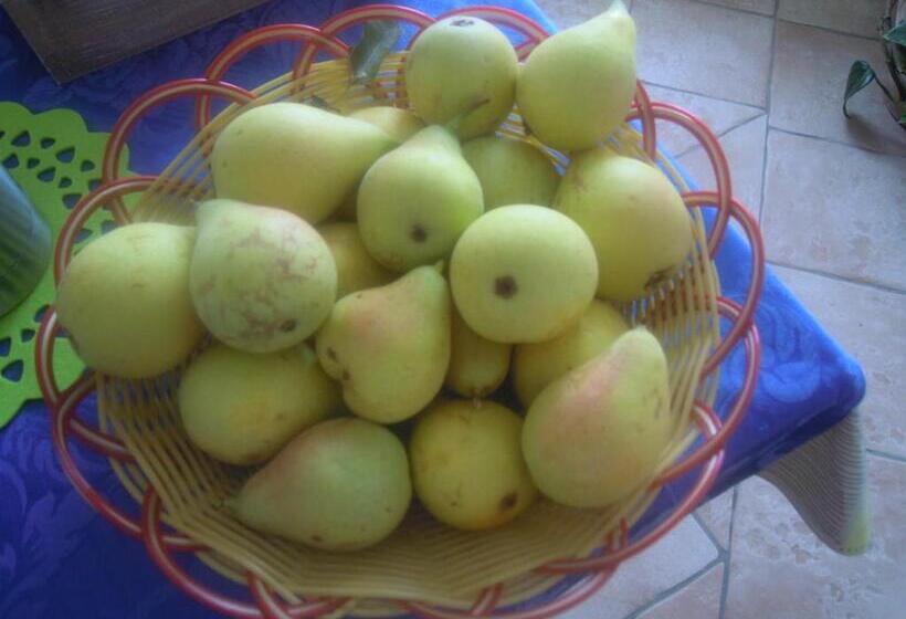 Bed and Breakfast Agriturismo Pira Pinta