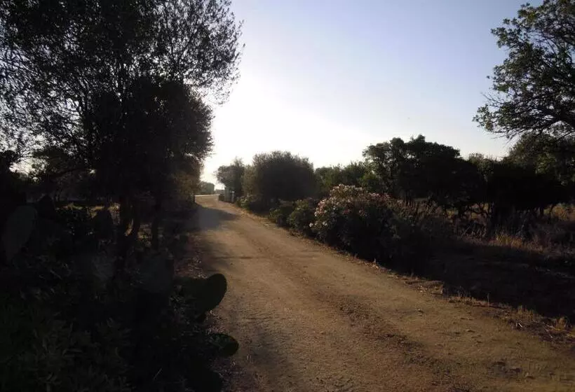 Aamiaismajoitus (B&B) Agriturismo Pira Pinta