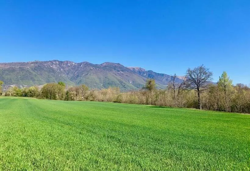 ベッドアンドブレックファースト Flyingaway