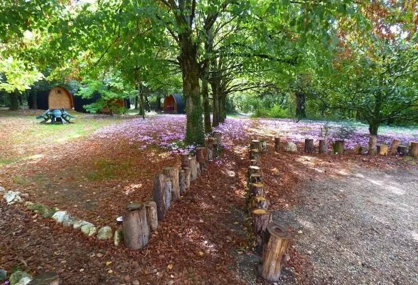 Aamiaismajoitus (B&B) La Rossignolerie   Pod Cabanes Des Châteaux