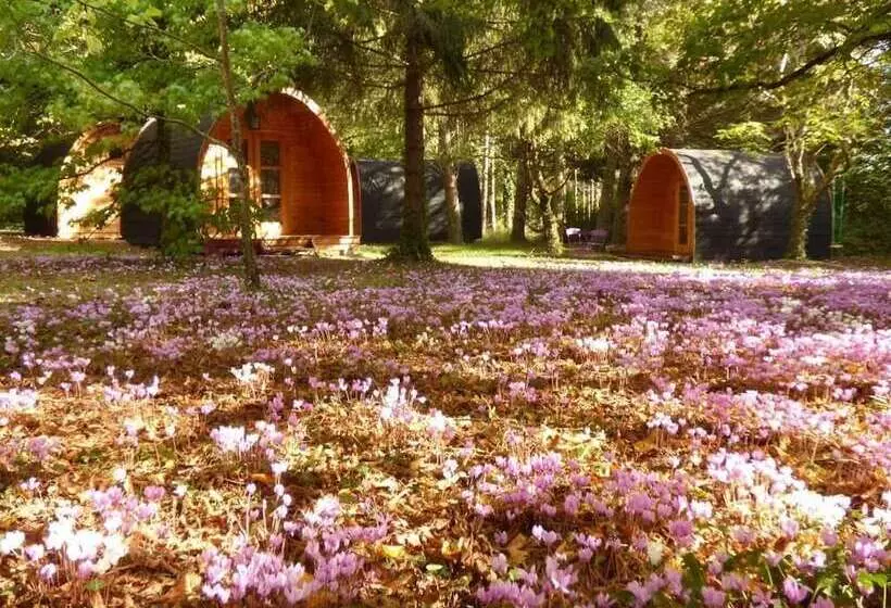 Aamiaismajoitus (B&B) La Rossignolerie   Pod Cabanes Des Châteaux