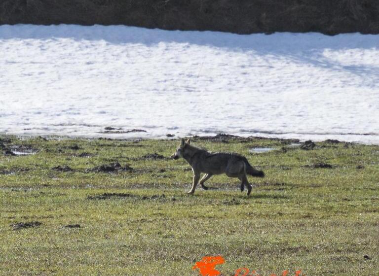 تختخواب و صبحانه Masseria Cerasella