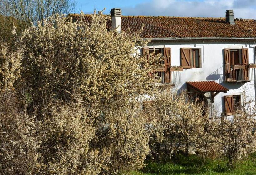 تختخواب و صبحانه Masseria Cerasella