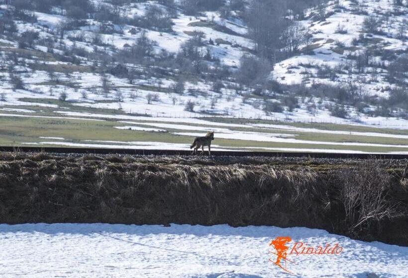 تختخواب و صبحانه Masseria Cerasella