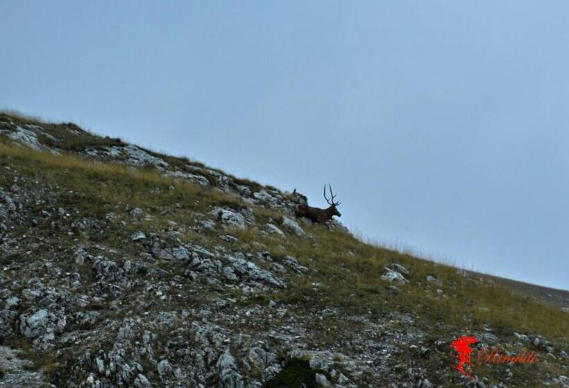 تختخواب و صبحانه Masseria Cerasella