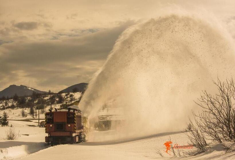 تختخواب و صبحانه Masseria Cerasella
