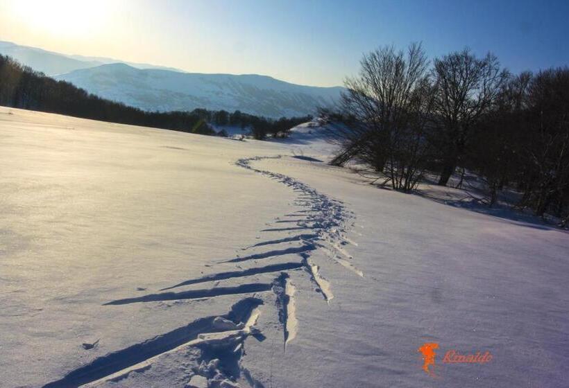 تختخواب و صبحانه Masseria Cerasella