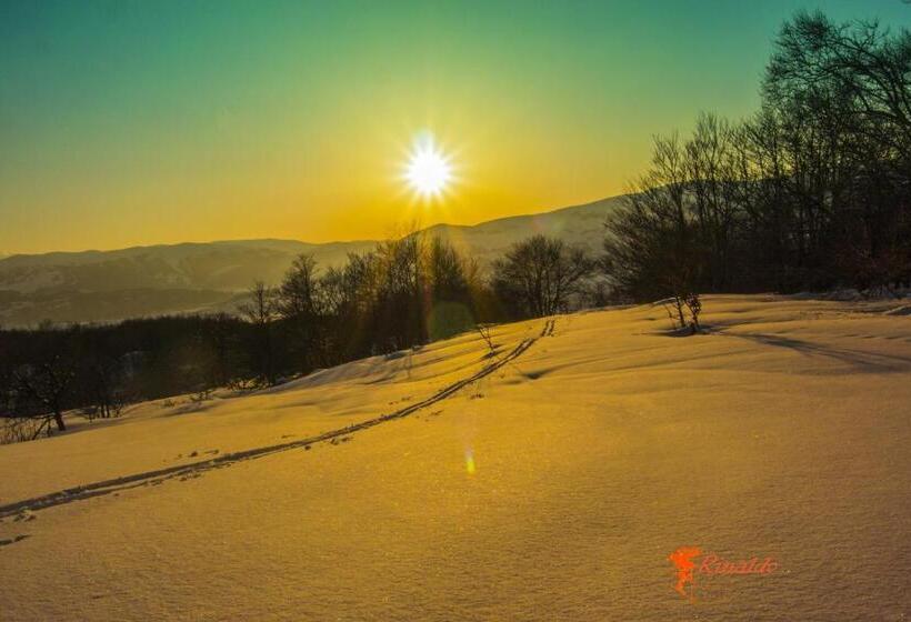 تختخواب و صبحانه Masseria Cerasella