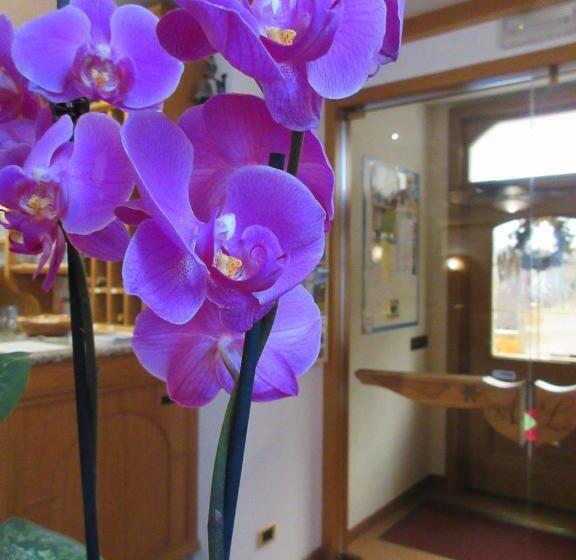 Отель Albergo Lucia