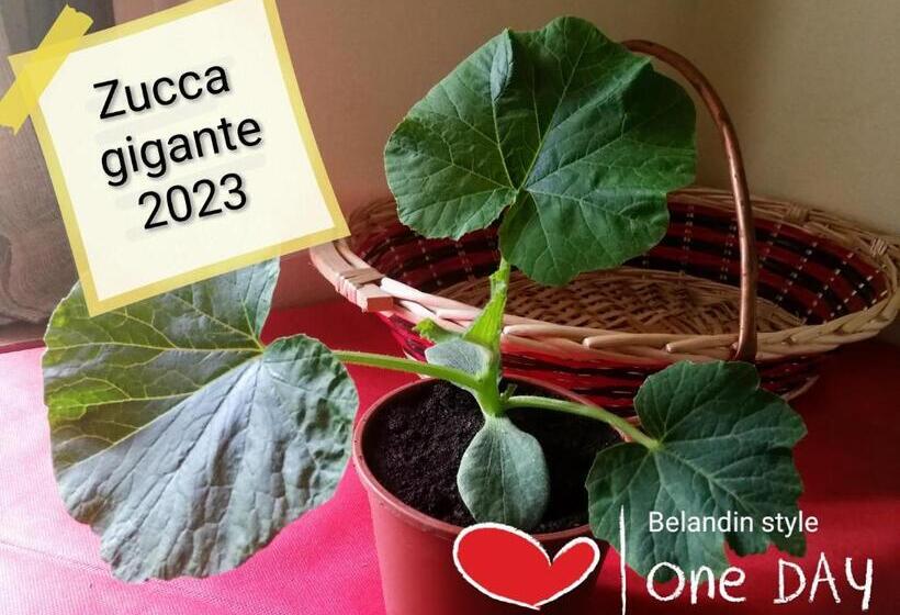 Отель Belandin Ristorante