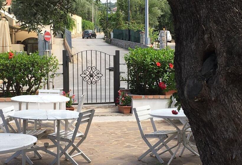 Отель Santa Rosalia