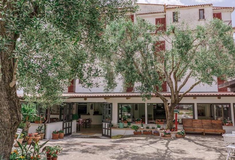 Отель Santa Rosalia