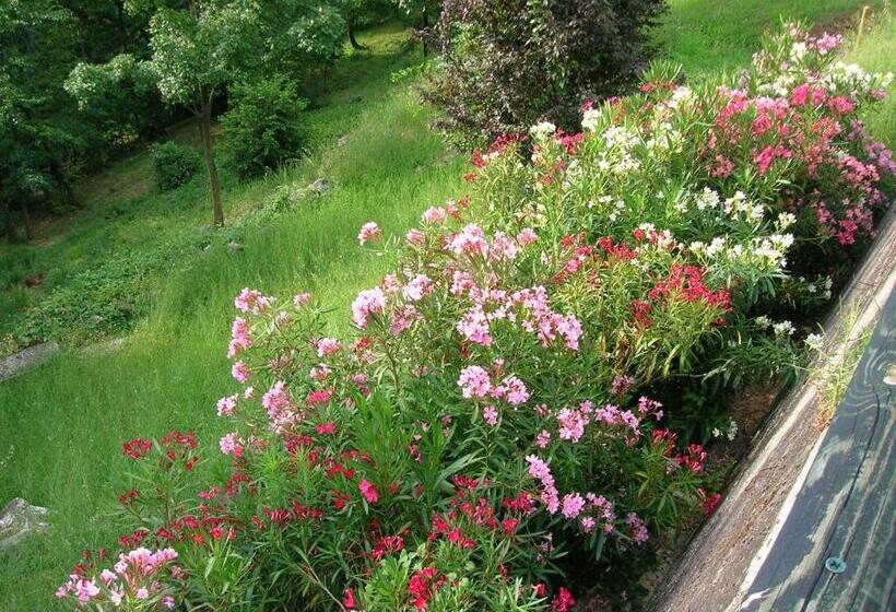 B&b Il Suono Del Bosco