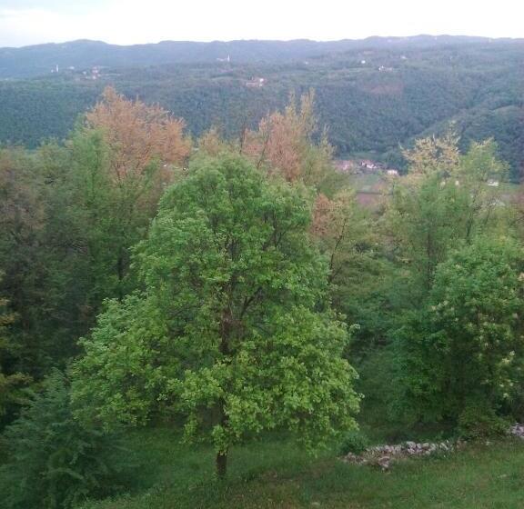 B&b Il Suono Del Bosco