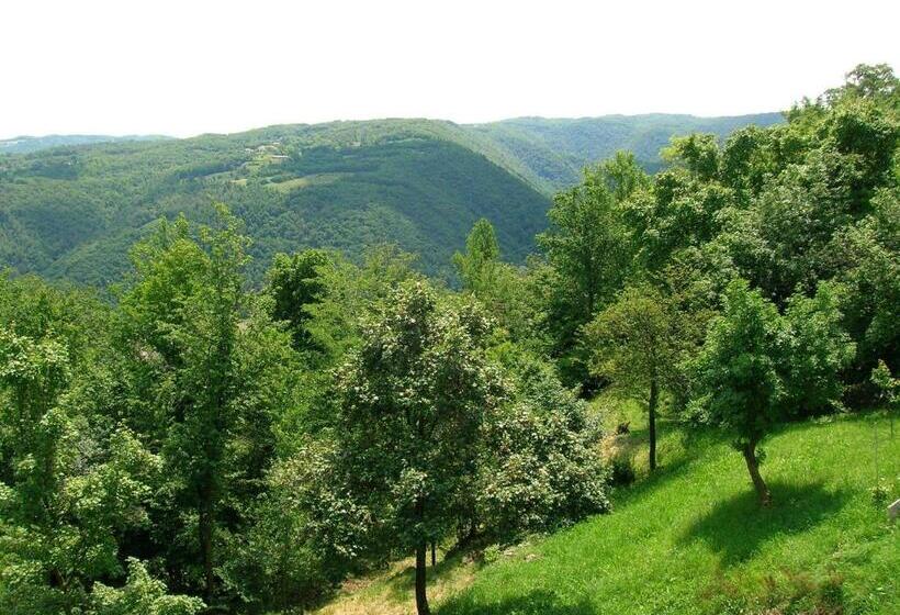 B&b Il Suono Del Bosco