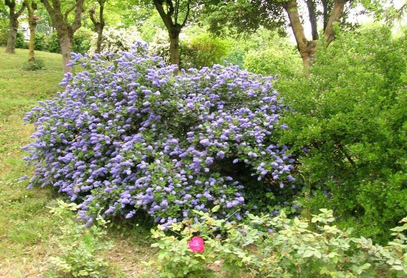 B&b Il Suono Del Bosco