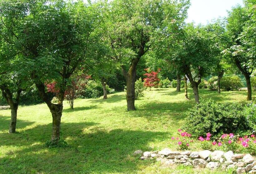 B&b Il Suono Del Bosco