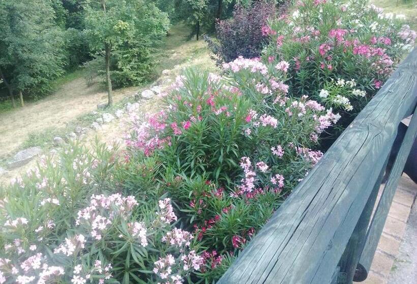 B&b Il Suono Del Bosco