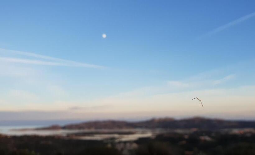 צימר Villa Sprafundu