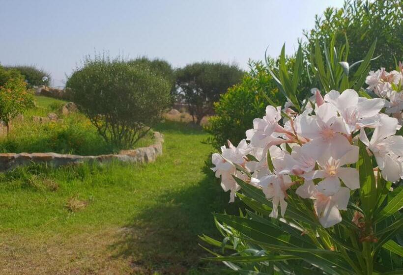 צימר Villa Sprafundu