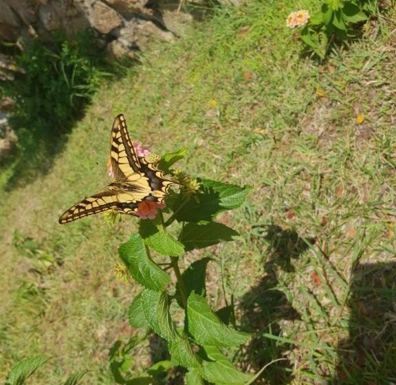 צימר Villa Sprafundu