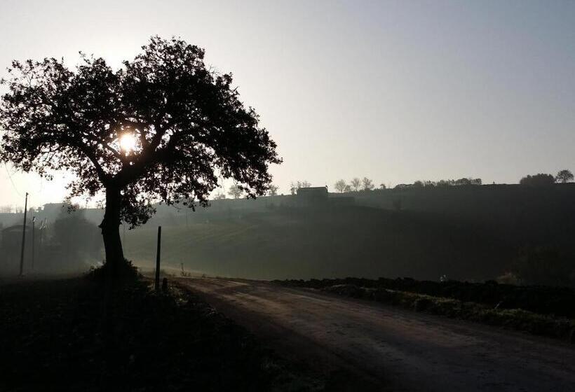 ベッドアンドブレックファースト Dolcedimora