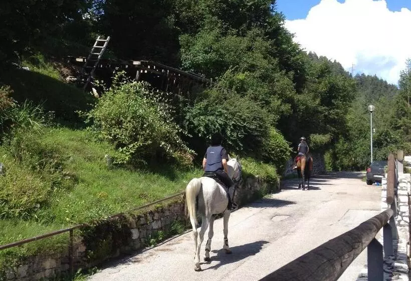 Aamiaismajoitus (B&B) Fra Rose E Mughi