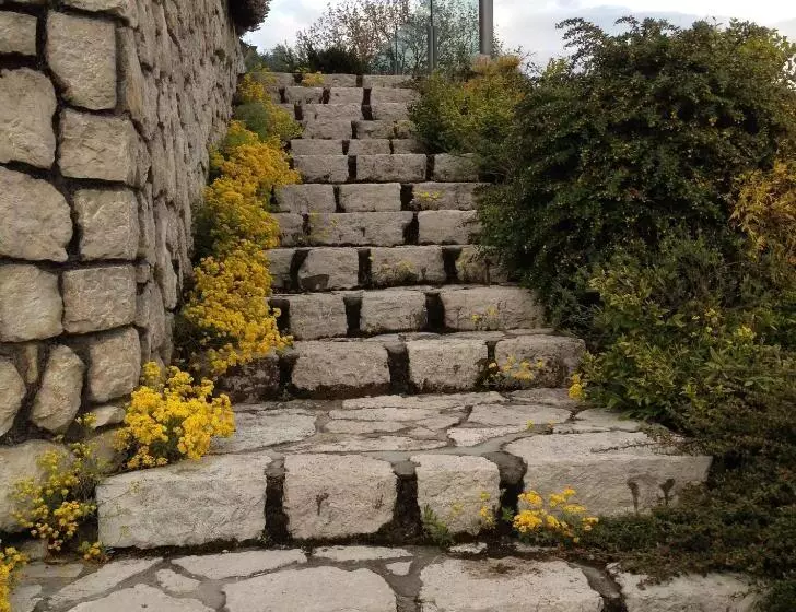 Aamiaismajoitus (B&B) Fra Rose E Mughi