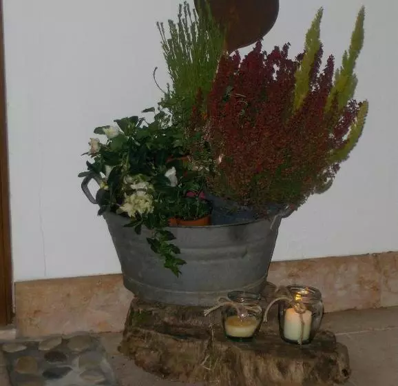 Aamiaismajoitus (B&B) Fra Rose E Mughi