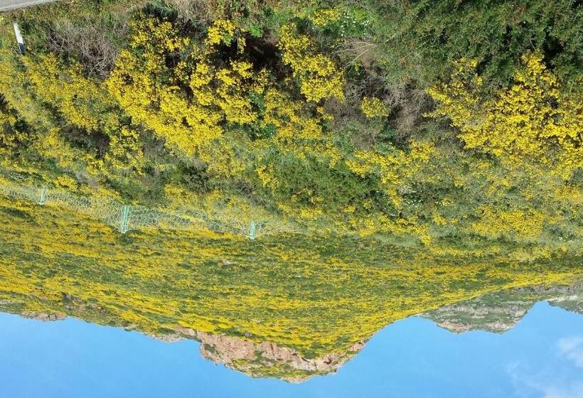 צימר Il Castello Di Modolo