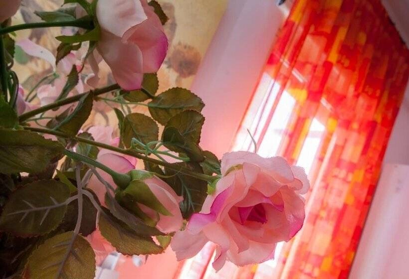 تختخواب و صبحانه Limoni Sul Mare