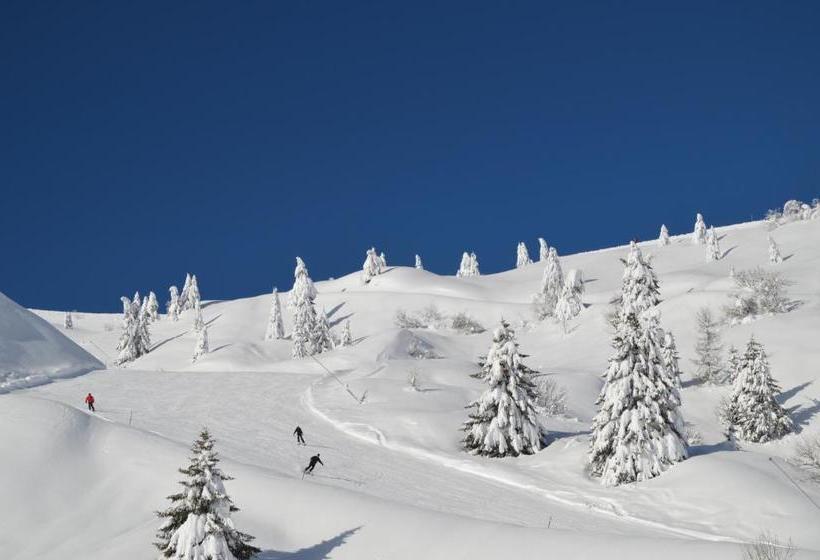 בית מלון כפרי Baita Goles