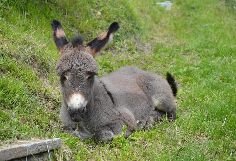 בית מלון כפרי Garni Excelsior