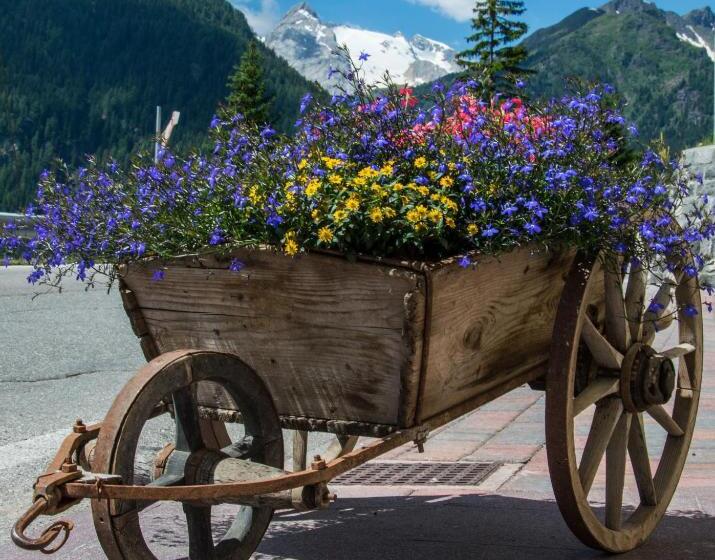 בית מלון כפרי Garni Excelsior