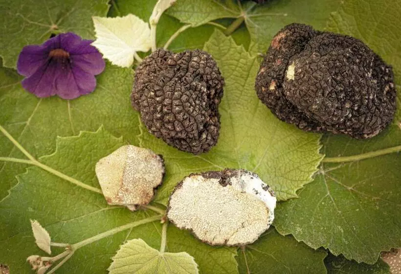 Hotelli E Trattoria San Giorgio