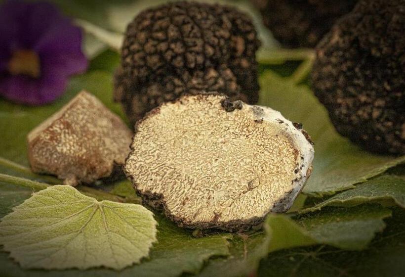 ホテル E Trattoria San Giorgio