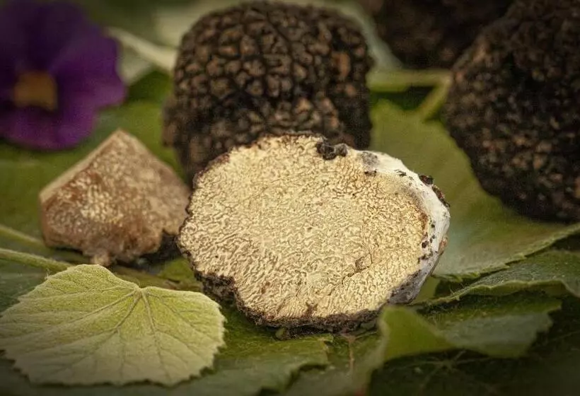 Hotelli E Trattoria San Giorgio