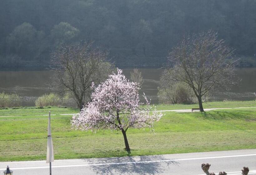 호텔 Moselterrasse