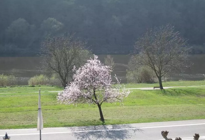 Hotelli Moselterrasse