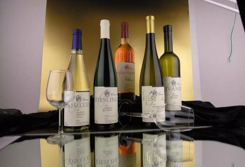 Hotelli Moselterrasse