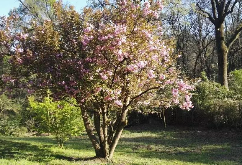 B&b Il Giardino Delle Cince