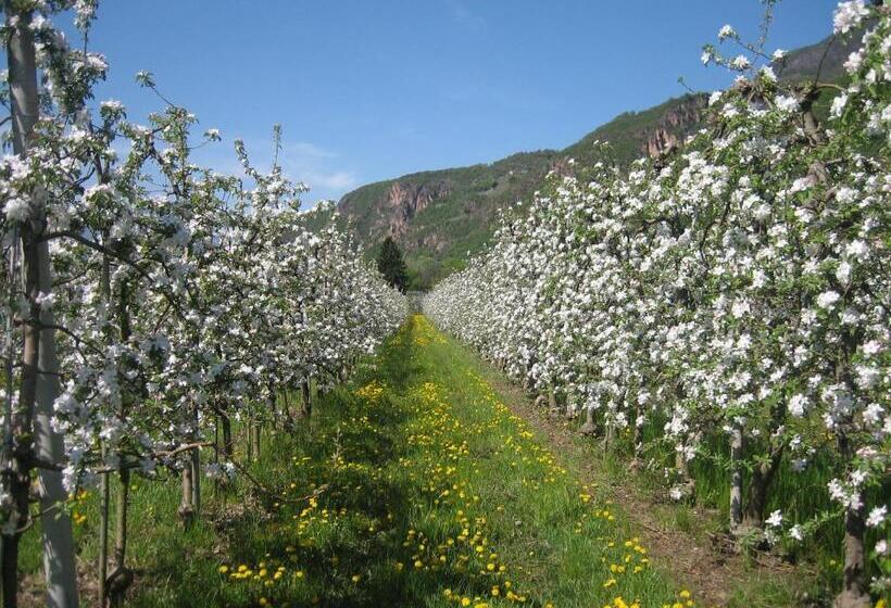 ホテル Greifenstein