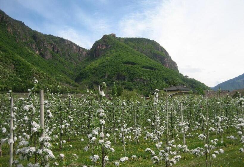 ホテル Greifenstein